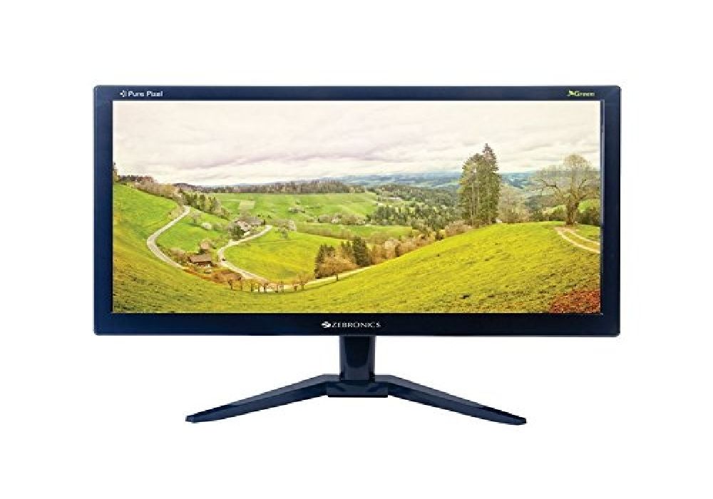 Zebronics 15.6 inch (39.6 cm) LED Backlit Computer Monitor