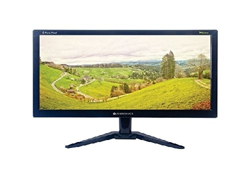 Zebronics 15.6 inch (39.6 cm) LED Backlit Computer Monitor